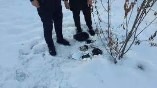 Серийный вор автозеркал задержан в Алматы