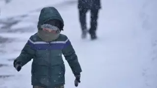 Отменены занятия в школах и колледжах ВКО и Карагандинской области