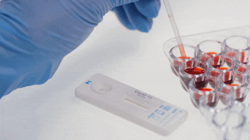 Видео:elements.envato.com