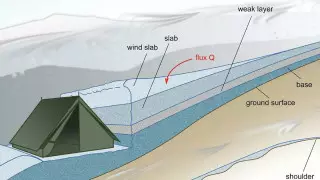 Ученые назвали причину гибели группы Дятлова