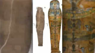 Необычную египетскую мумию изучают археологи