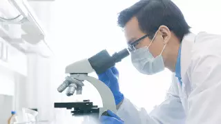 Фактчекинг. Правда и ложь о нагреваемом табаке