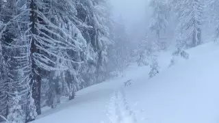 В Алматы и пяти областях объявили штормовое предупреждение