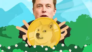 Илон Маск купил криптовалюту Dogecoin для годовалого сына