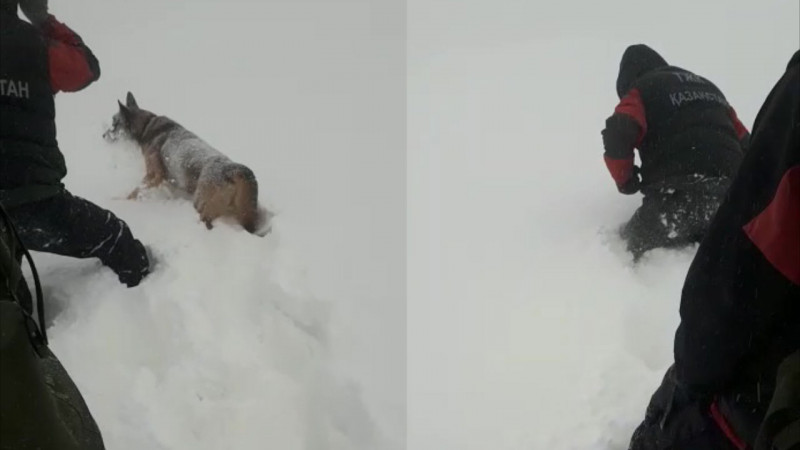 Кадры из видео