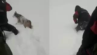 Пропавшего туриста ищут в горах Алматы