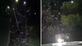 Двое жителей Сатпаева обвиняются в соучастии в похищении и изнасиловании 5-летней девочки