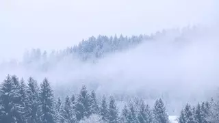 Минусовая температура, туман, гололед: погода ухудшится на большей части Казахстана