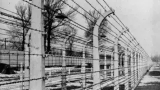 Солдат вермахта проверят на причастность к убийству советских пленных