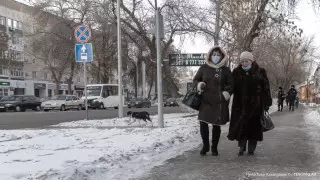 Данные по заражениям коронавирусом обновил Минздрав Казахстана