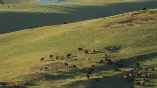 Какие участки земли казахстанцам положены бесплатно