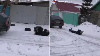 Водитель прокатил друга по улице, привязав за ноги к машине в Павлодаре