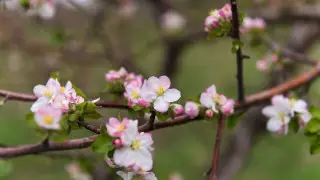 Каким будет март в Казахстане - синоптики