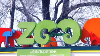 Филиал Nur Otan, полиция и зоопарк крупно задолжали за воду в Алматы