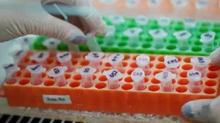 У новорожденного ребенка нашли новую мутацию коронавируса