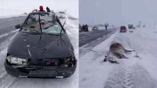 Районный аким получил выговор за смертельное ДТП в ЗКО