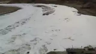 Грязно-зеленой пеной покрылась река в Алматинской области