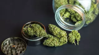 Продажи каннабиса в США достигли рекордного уровня