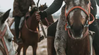 Больше 40 кокпаров устроили жители Туркестанской области