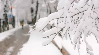 Похолодание и сильные осадки ожидаются в Казахстане