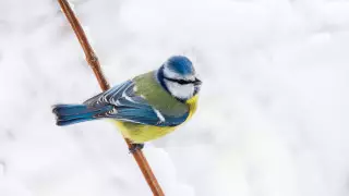 В Казахстане резко похолодает