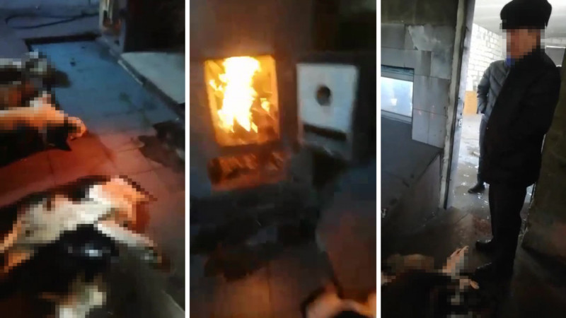 Кадры из видео