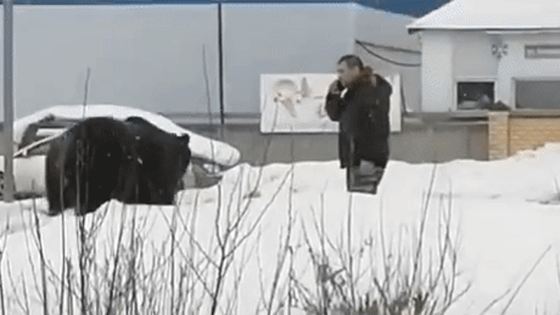 Видео:instagram.com/chp_nv86