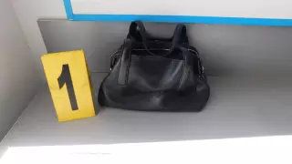 Сумка с 4 тысячами долларов всполошила налоговиков в Актобе