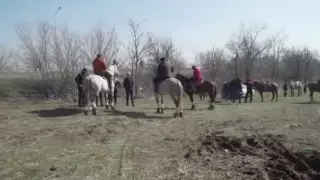 Кокпар на 400 человек остановили в Шымкенте