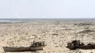 Узбекистан сделал предложение Казахстану по Аральскому морю