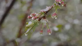 Штормовой ветер, дождь и снег ожидают в Казахстане 21 марта