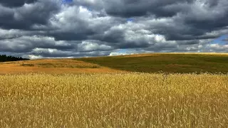 Кто вошел в состав Комиссии по земельной реформе