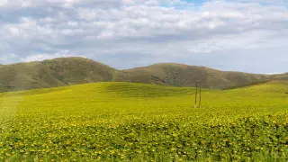 "Көзбояушылық". Тоғжанов Жер реформасы бойынша комиссия жұмысын сынағандарға жауап берді