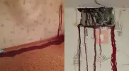 Льющаяся из розетки "кровь" напугала жительницу многоэтажки
