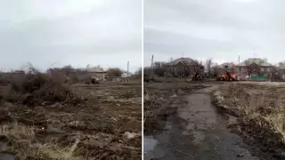 Вырубка деревьев в парке попала на видео в Сатпаеве