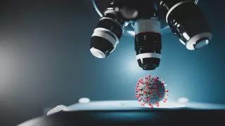 Компоненты плесени могут остановить COVID-19 – ученые