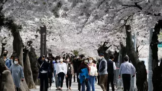 В Южной Корее заявили об опасности четвертой волны пандемии коронавируса