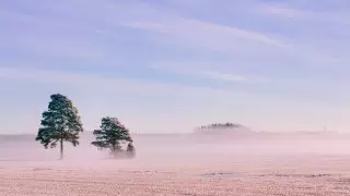 Штормовое предупреждение объявили в Нур-Султане и 5 областях