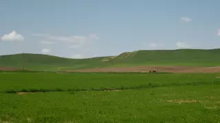 Запрет продажи земли иностранцам: Мажилис одобрил законопроект в первом чтении