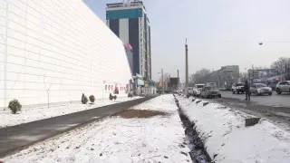 Вырубка деревьев в Алматы: гендиректор Sulpak выступил в суде