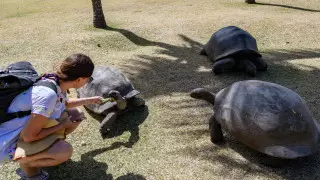 Названы животные, которые исчезнут первыми при глобальном потеплении