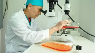 Что известно о еще одной казахстанской вакцине от коронавируса