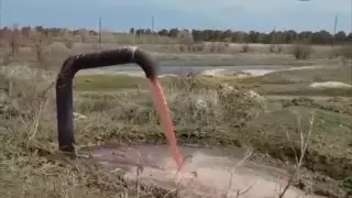 Экологи установили причину "кровавых" ручьев в Семее