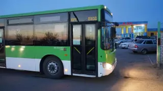 Проезд в автобусах Семея временно будет бесплатным