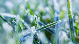Заморозки ожидаются на юге Казахстана