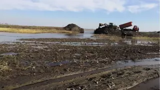 100 килограммов рыбы погибло на озере в Костанайской области