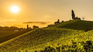 2020 год стал одним из самых теплых в истории - ученые