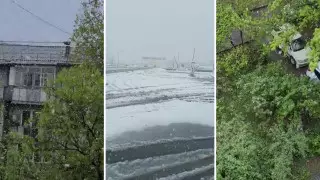 Снег выпал на юге Казахстана: пользователи Сети делятся видео