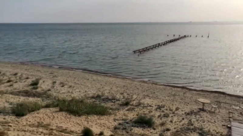 Кадр из видео