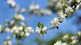 Теплые выходные обещают казахстанцам